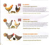 LIVE CHICKS--CHICKENS, DUCKS, TURKEYS, GUINEAS, PHEASANTS, CHICKEN EGGS