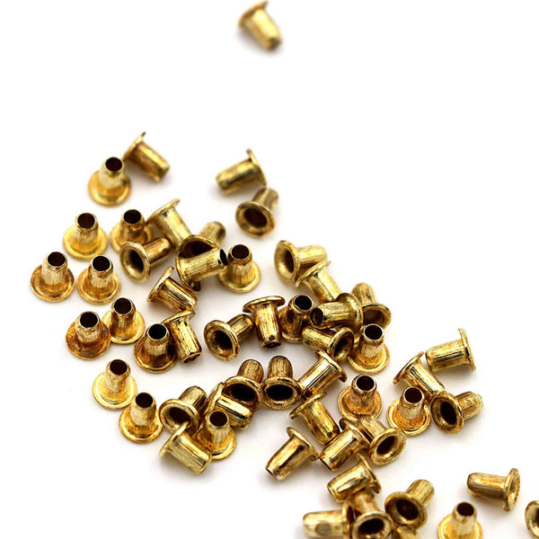 BZ166  Large Brass Eyelets