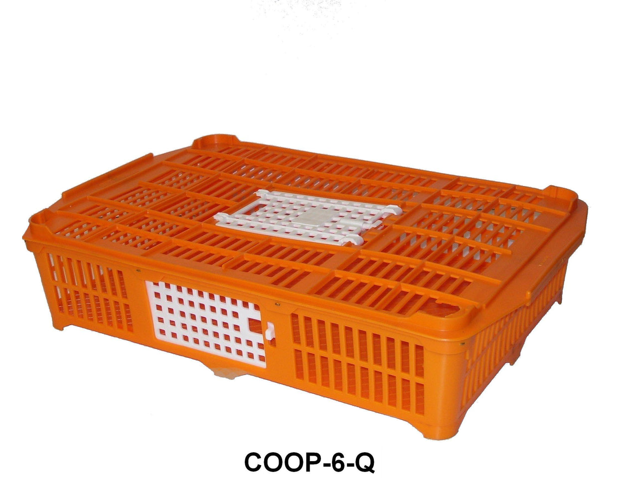 0299  Baby Chick & Mature Quail Travel Crate