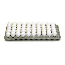 Q50  Papier-Mache Tray for Quail Eggs