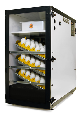 1502 Sportsman Cabinet Incubator