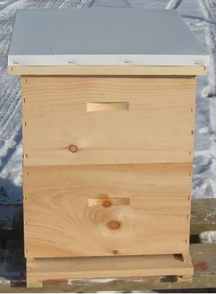 BZ8CO  Complete 8 Frame Hive