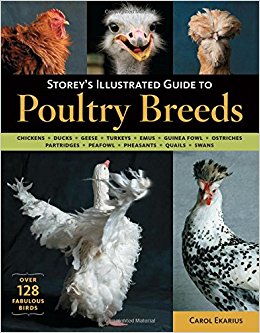 Poultry Breeds