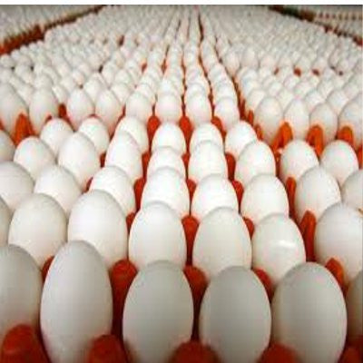 Egg Accessories