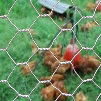 Wire