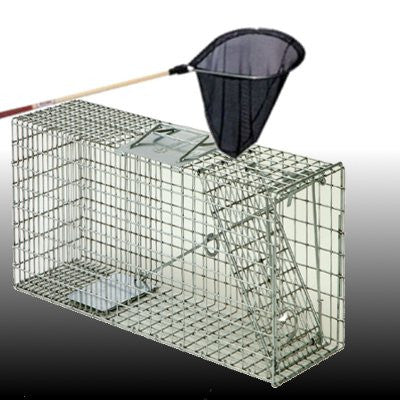 Live Traps and Catching Nets