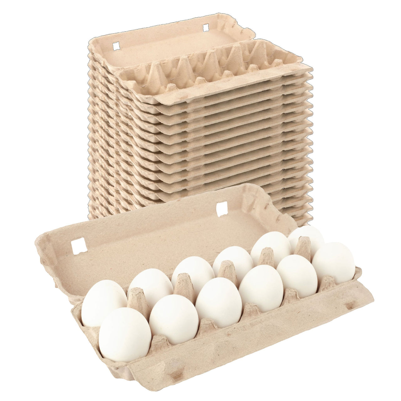 12-Egg Carton (1x12) - Natural Pulp, Flat Blank Top