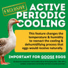 CT120 SH - Egg Incubator - Setter & Hatcher