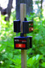 Nite Guard Protector Light-CLR