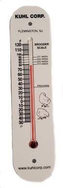 882A - Plastic Brooder Thermometer