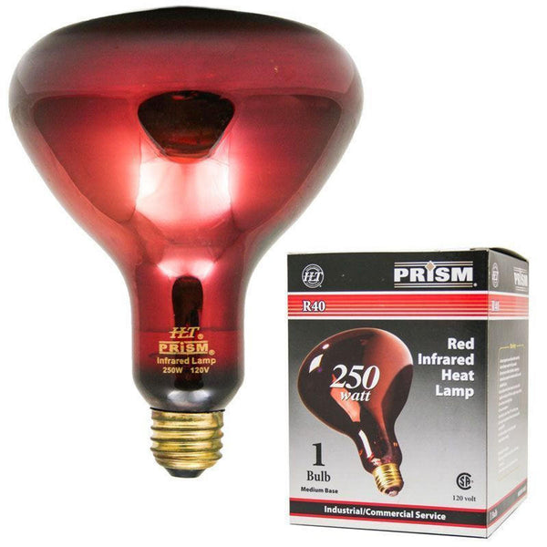 912  Red Glass Infra-Red Bulb - 170024