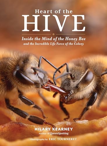 BKB11 - HEART OF THE HIVE