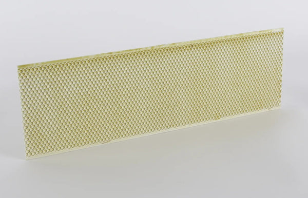 BZ17P-Acorn - Plastic Heavy Wax Coated Foundation for Medium Frames - Natural Color