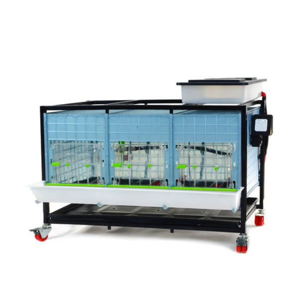 Chick Brooder - 1 Layer H: 15"