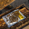 BZNOR -Norroa - Varroa mite treatment