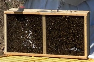 3# Package Of Bees 2027