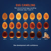 Rechargeable LED Egg Candler