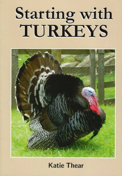 BK16 Starting With Turkeys