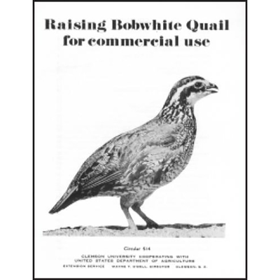 BK27B  Raising Bobwhite Quail For Commercial Use