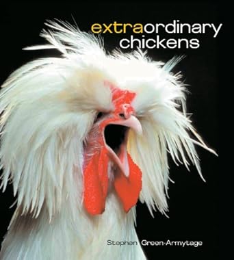 BK92 Extraordinary Chicken