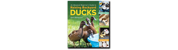 BK04 - An Absolute Beginner's Guide to Raising Backyard Ducks