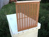 BZPRO Propolis Trap