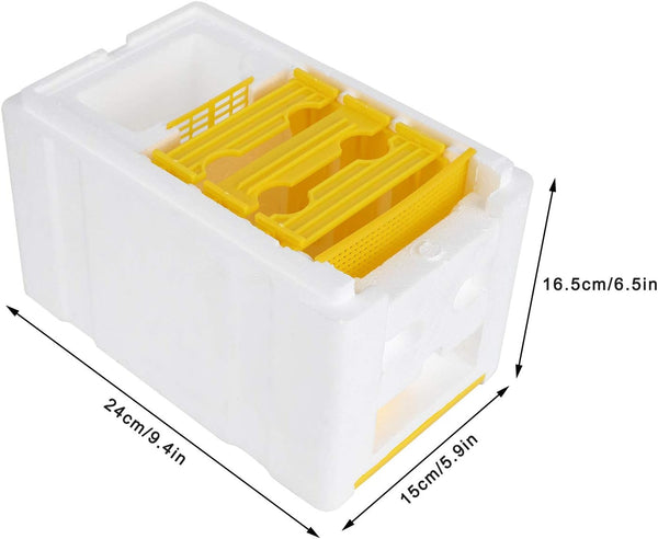 Queen Bee Mini Mating Box