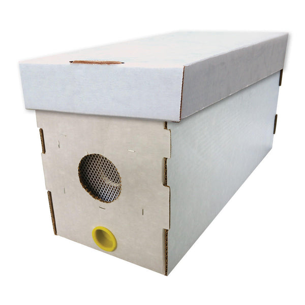 White Waxed Corrugated Cardboard Nuc Box - BZCNB