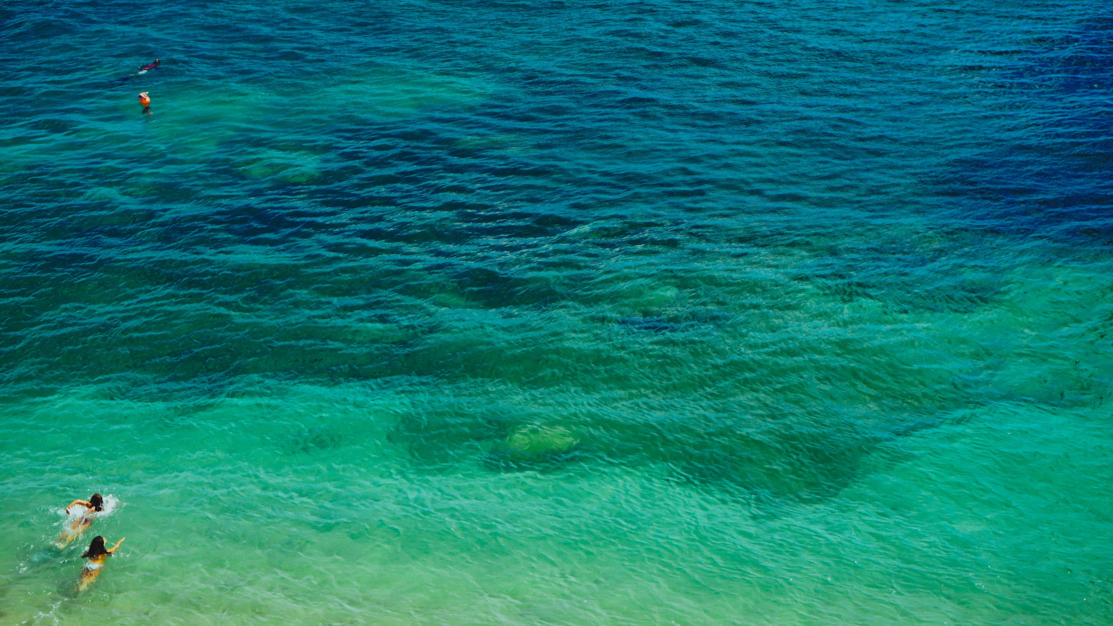 Poultry, Gamebird and Beekeeping Service and Supplies Cutler Supply