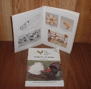 BK14  Turkeys At Home